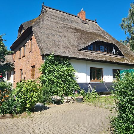 Renovated Apartment In The Old Farmhouse Krusenhagen Buitenkant foto