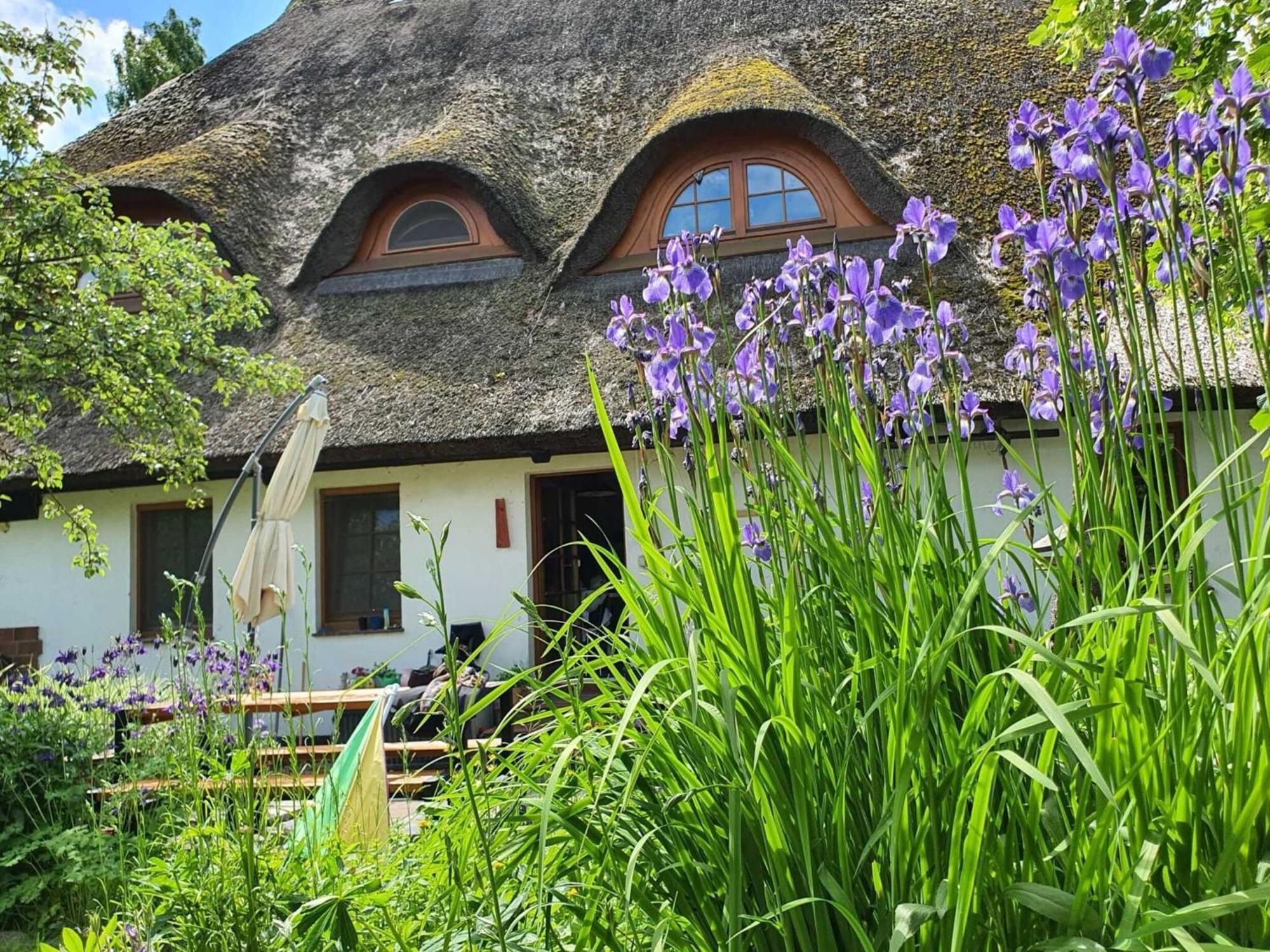 Renovated Apartment In The Old Farmhouse Krusenhagen Buitenkant foto