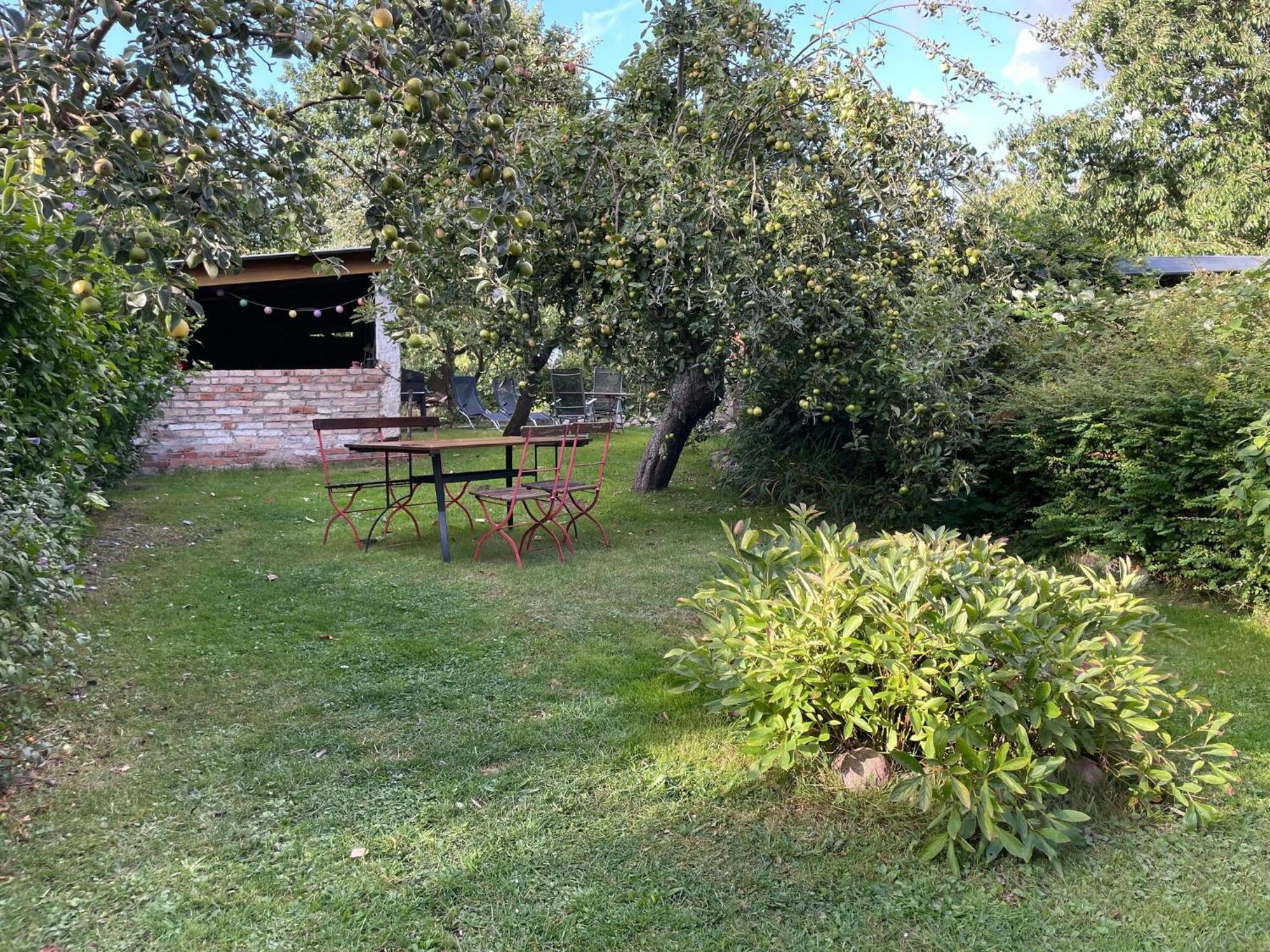 Renovated Apartment In The Old Farmhouse Krusenhagen Buitenkant foto