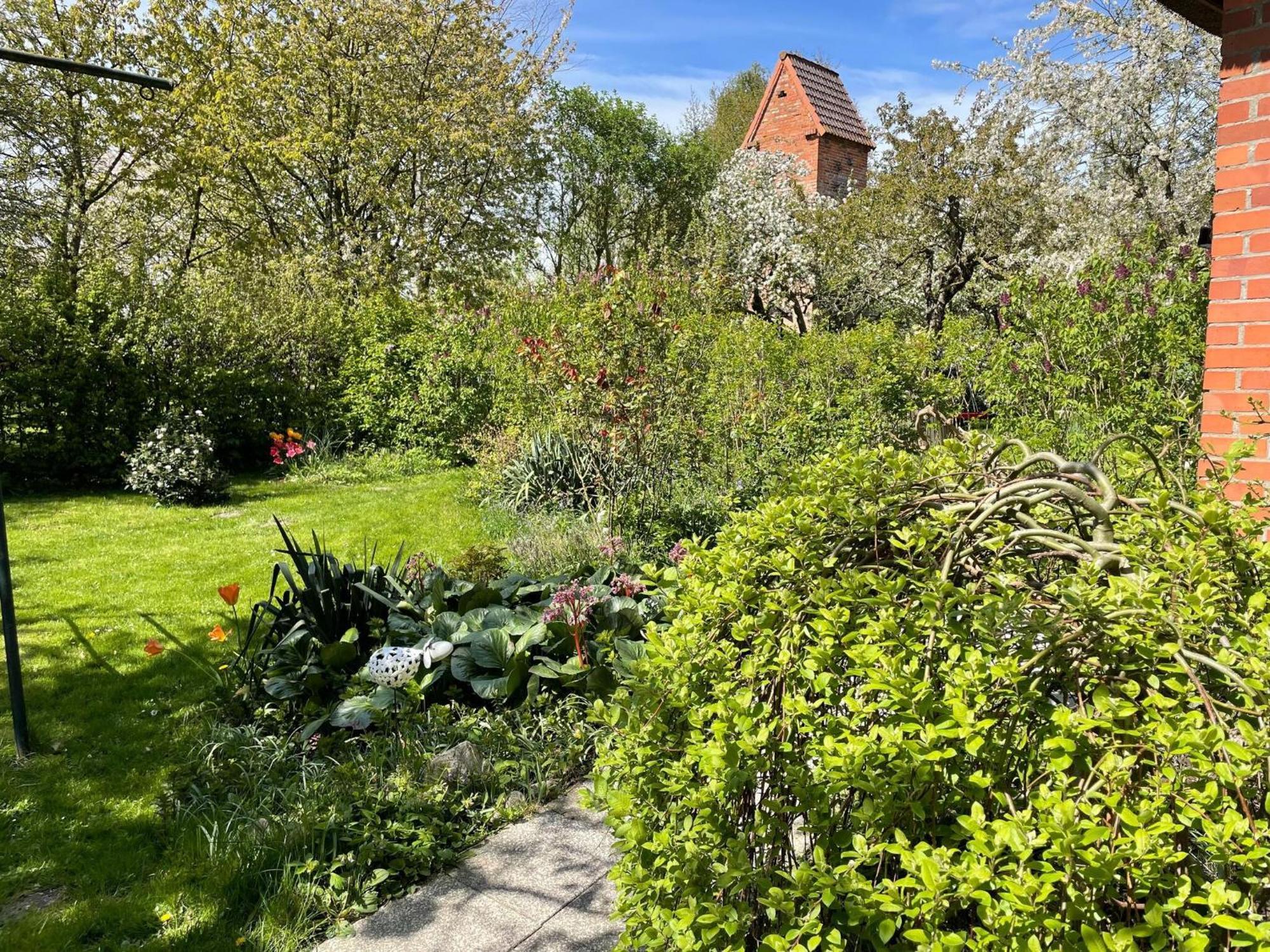 Renovated Apartment In The Old Farmhouse Krusenhagen Buitenkant foto